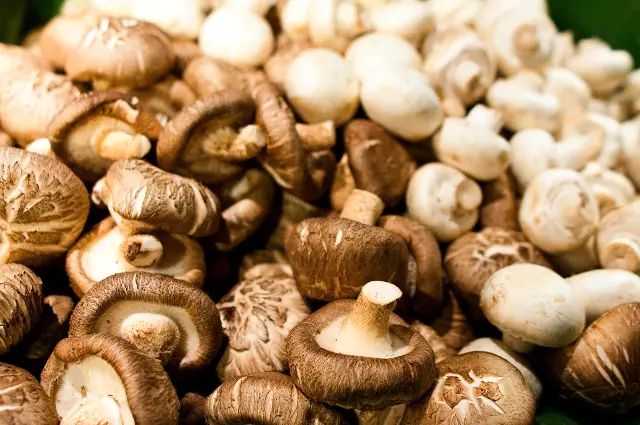 How to grow button mushrooms from store-bought