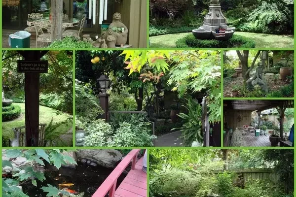 10 Serene Zen Garden Ideas on a Budget