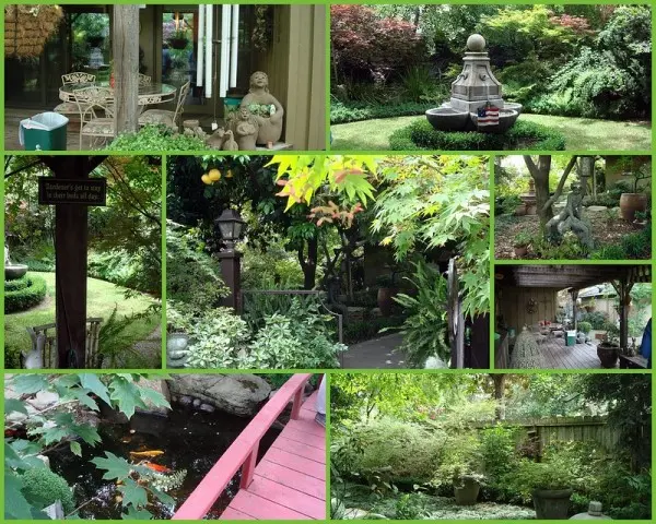 10 Serene Zen Garden Ideas on a Budget